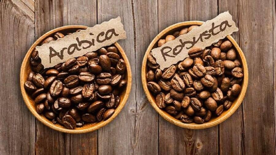 Cách phân biệt cà phê Arabica và Robusta