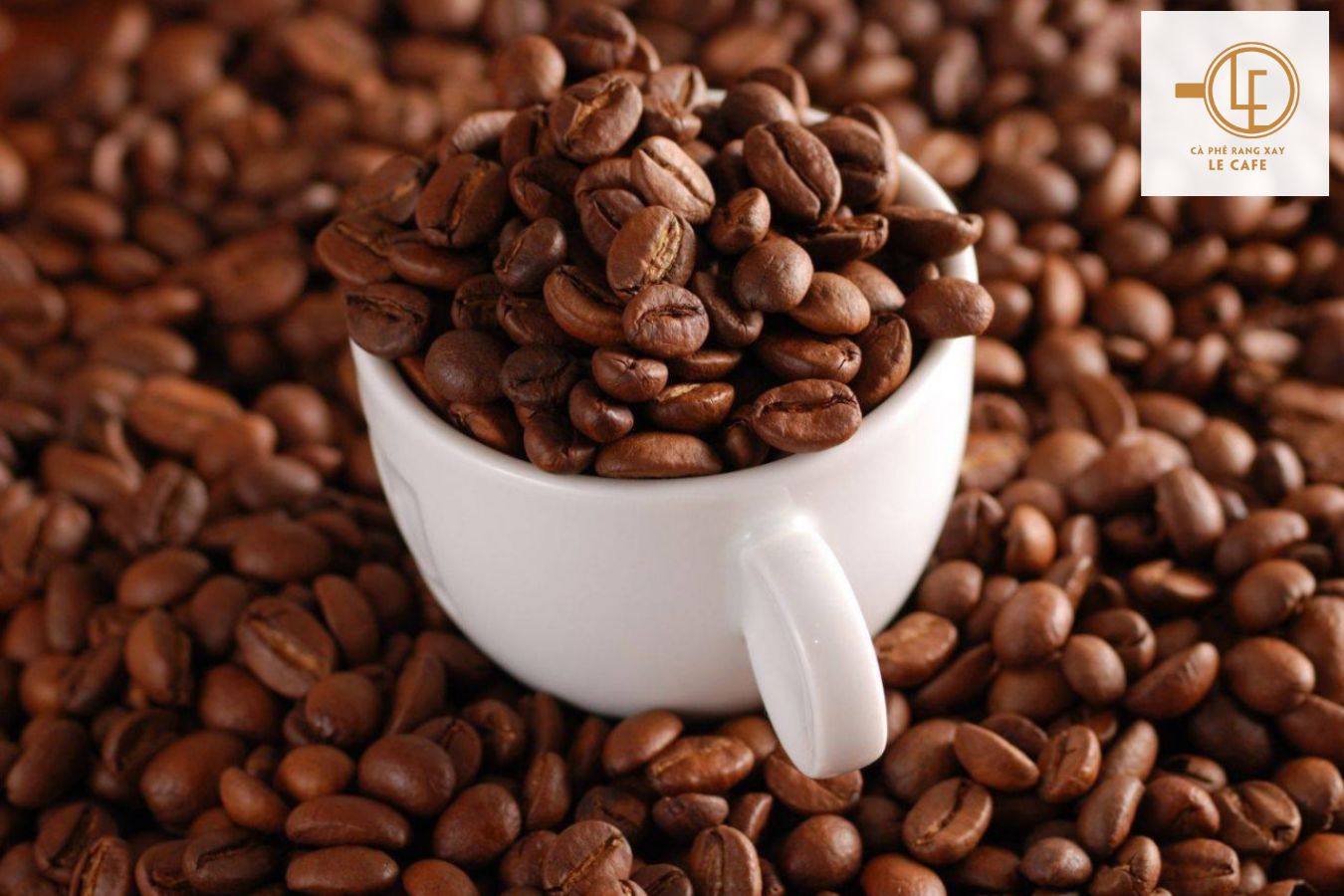 hạt cà phê rang mộc chất lượng